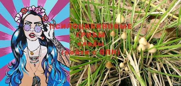 прущие крисы Нефтегорск