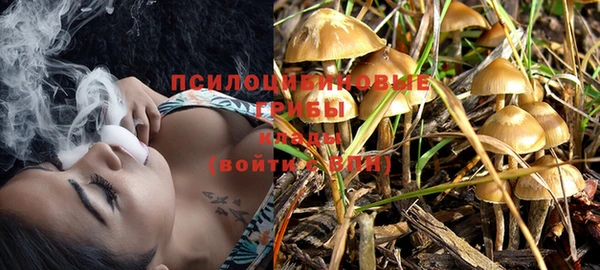 прущие крисы Нефтегорск