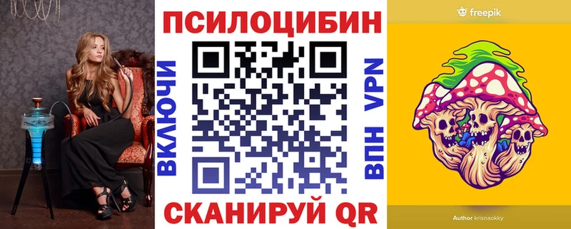 Купить  Энем  Галлюциногенные грибы GOLDEN TEACHER 